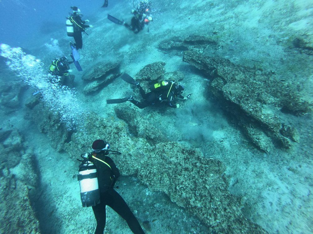 Fuerteventura Diving