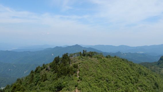 효노센 산