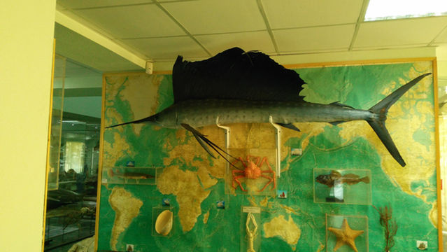 Moldova State University Museum