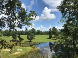 Bigfoot Adventure TN Zipline