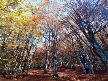 Piani di Canfaito