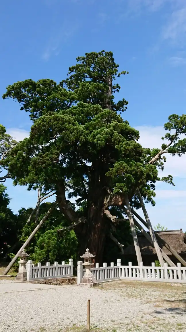 Hotels near Yao-sugi