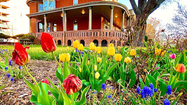 1311 York Street Club Inc.