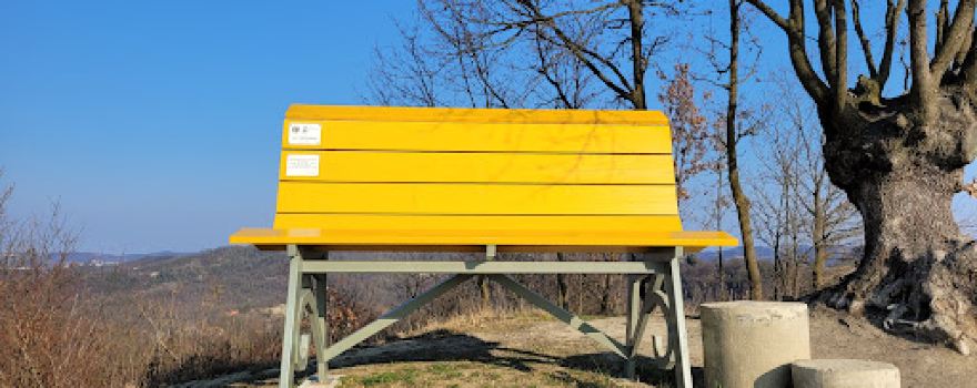 Big Bench #113 - Odalengo Grande
