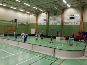 Alfta sim- & sporthall