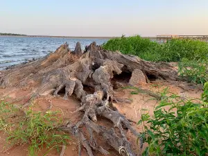 W.C. Swearingen Recreation Area