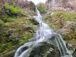 Flood Falls