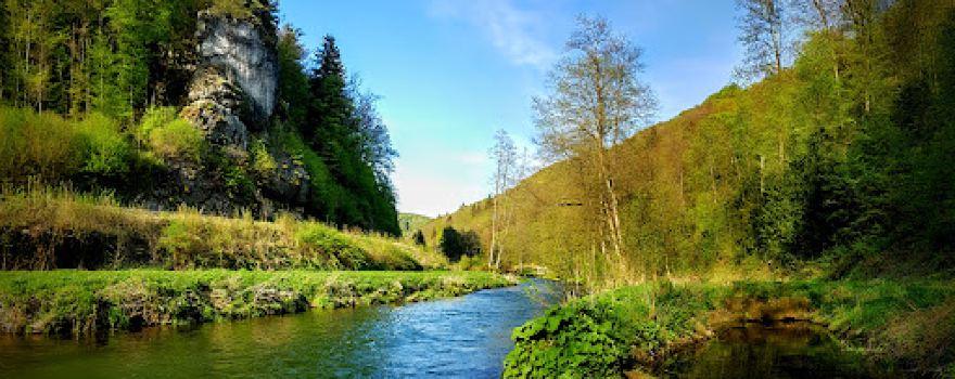 Wiesent