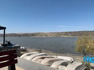 Sakaser