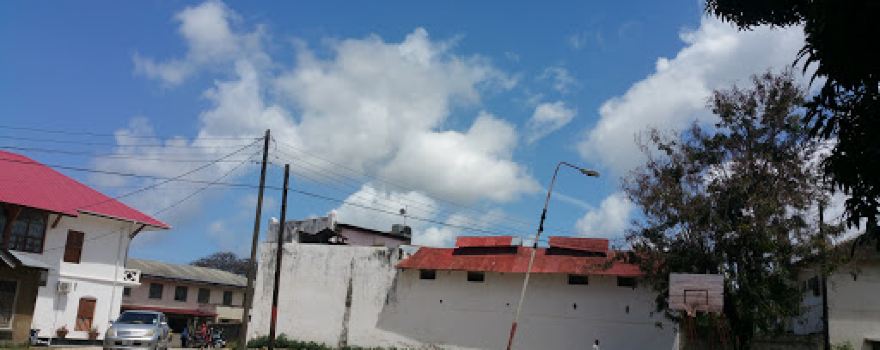 Ruins of Old Fort and Museum Swahili Divers
