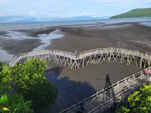 Cemara Beach and Mangrove Muncar City