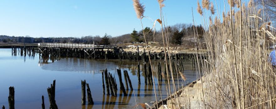Conservation Park
