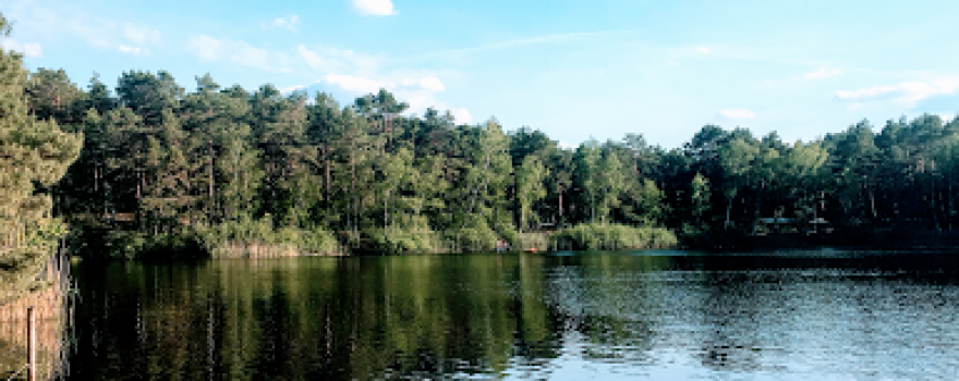 Dürings campsite "Am Tonsee"