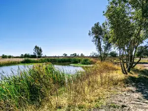 Lagoon Creek