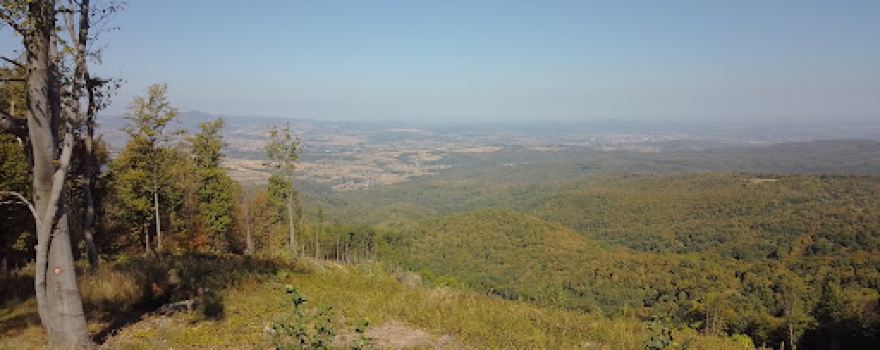 Juhor