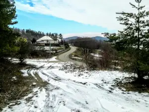 Mineral springs Mitická