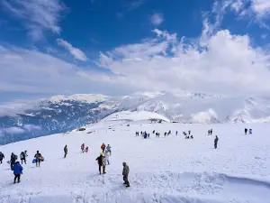 Tripthrillers Holiday | Kashmir Tour package
