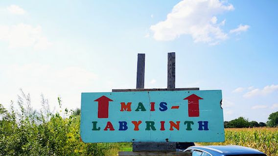 Maislabyrinth Gosberg