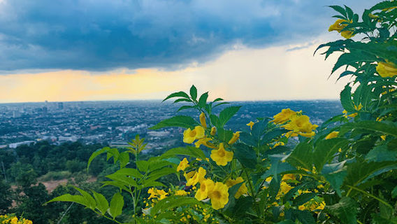 Masjid Besar Wilayah Songkhla
