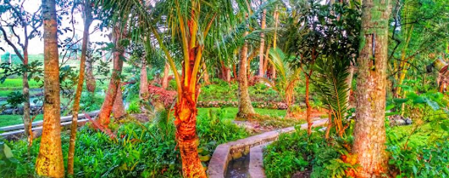 Umbul Ngrancah
