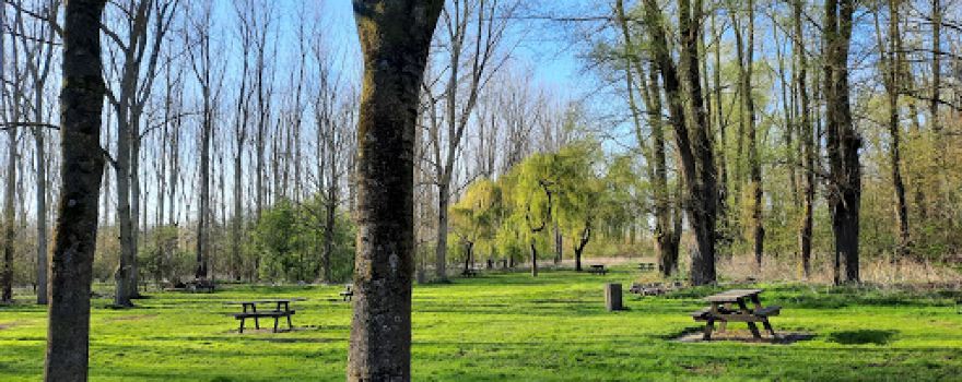 Bois des Forts