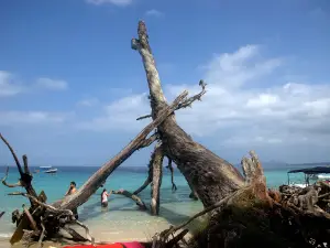 Sea Link Adventures - Sea walk