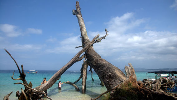 Havelock Island