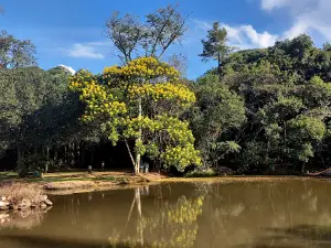 Horto Florestal - Town Lake