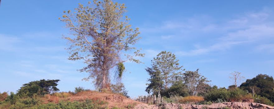 Don Loppadi