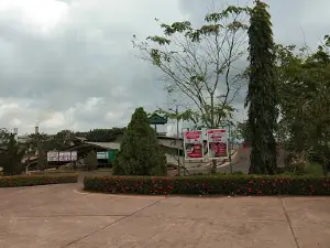 PT. Primary Binasawitabadi Semandau Plantation Estate