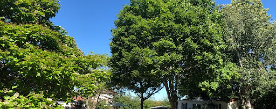 Camping La Motte-Ternant
