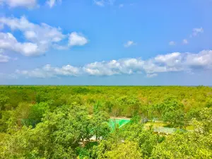 Sajnekhali Watch Tower