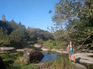 Área recreativa / Club Fluvial de Baamonde (privado)