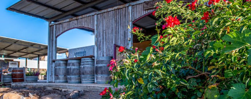 Terra Nova Winery