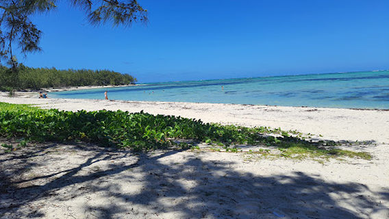Grande Riviere Sud Est