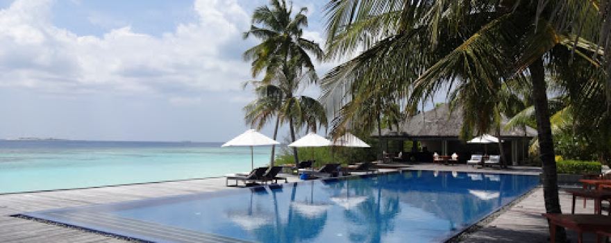 Kudafunafaru