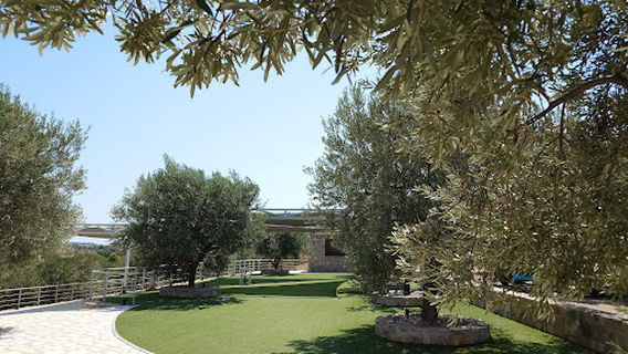 Μουσείο Μελιού & Μέλισσας - Honey and bee museum - Bairaktaris apiary