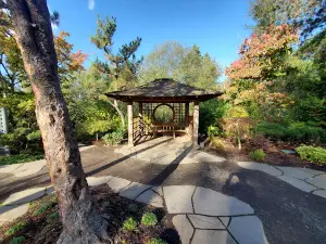 Main City Park