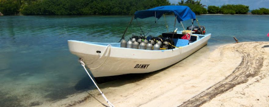 Seemore Adventures - Dive & Adventure Shop