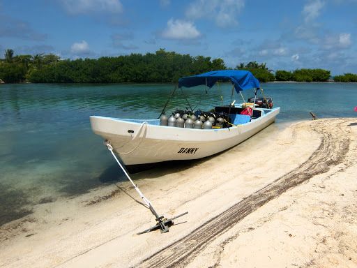 Seemore Adventures - Dive & Adventure Shop