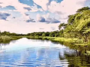 Rio Jari