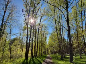 park Mazuryna