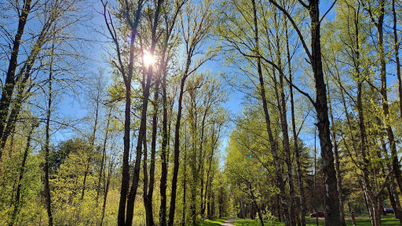 park Mazuryna