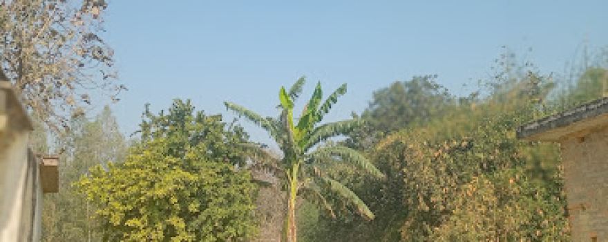 Shiv Mandir Sonaudha Tarai