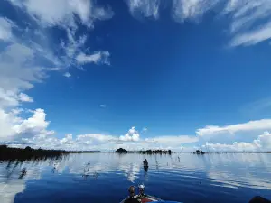 Danau Sentarum