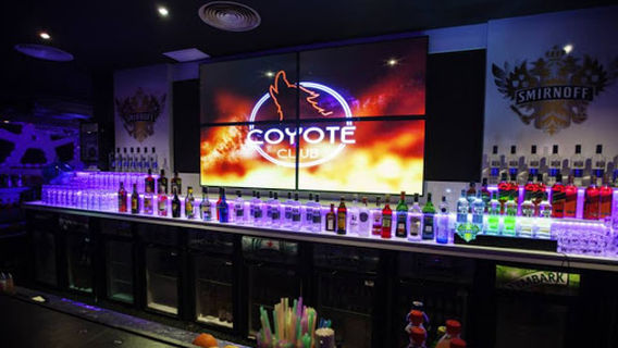 Coyote Club