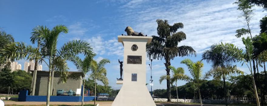 Eiffel Tower Rio Claro
