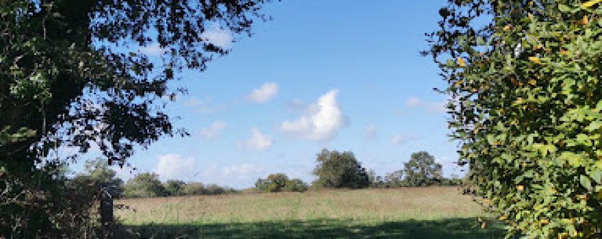 Dolmen des Pierres Jumelles