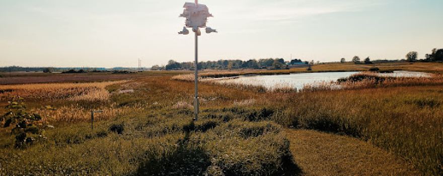 Tonawanda Wildlife Management Area