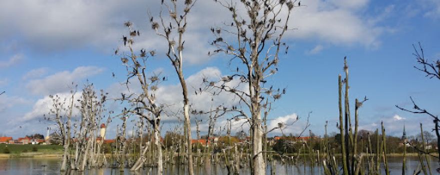 Aalholm Slotspark